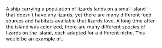 A ship carrying a population of lizards lands on a small island that doesn't have any lizards, yet there are many different food sources and habitats available that lizards love. A long time after the island was colonized, there are many different species of lizards on the island, each adapted for a different niche. This would be an example of...