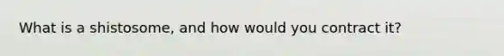 What is a shistosome, and how would you contract it?