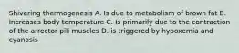 Shivering thermogenesis A. Is due to metabolism of brown fat B. Increases body temperature C. Is primarily due to the contraction of the arrector pili muscles D. is triggered by hypoxemia and cyanosis