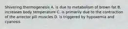 Shivering thermogenesis A. is due to metabolism of brown fat B. increases body temperature C. is primarily due to the contraction of the arrector pili muscles D. is triggered by hypoxemia and cyanosis