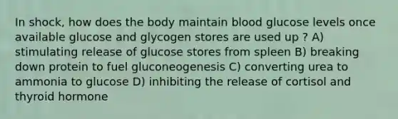 In shock, how does the body maintain blood glucose levels once available glucose and glycogen stores are used up ? A) stimulating release of glucose stores from spleen B) breaking down protein to fuel gluconeogenesis C) converting urea to ammonia to glucose D) inhibiting the release of cortisol and thyroid hormone