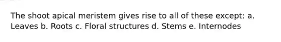 The shoot apical meristem gives rise to all of these except: a. Leaves b. Roots c. Floral structures d. Stems e. Internodes