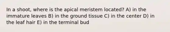 ​In a shoot, where is the apical meristem located? A) in the immature leaves B) in the <a href='https://www.questionai.com/knowledge/kb0kKBaH0H-ground-tissue' class='anchor-knowledge'>ground tissue</a> C) in the center D) in the leaf hair E) in the terminal bud