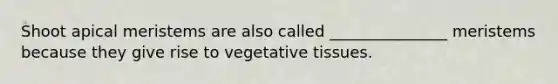 Shoot apical meristems are also called _______________ meristems because they give rise to vegetative tissues.