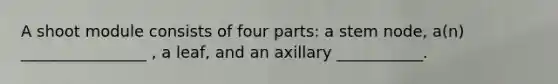 A shoot module consists of four parts: a stem node, a(n) ________________ , a leaf, and an axillary ___________.