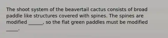 The shoot system of the beavertail cactus consists of broad paddle like structures covered with spines. The spines are modified ______, so the flat green paddles must be modified _____.