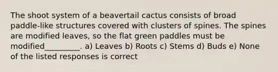 The shoot system of a beavertail cactus consists of broad paddle-like structures covered with clusters of spines. The spines are modified leaves, so the flat green paddles must be modified_________. a) Leaves b) Roots c) Stems d) Buds e) None of the listed responses is correct