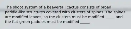 The shoot system of a beavertail cactus consists of broad paddle-like structures covered with clusters of spines. The spines are modified leaves, so the clusters must be modified _____ and the flat green paddles must be modified _____.