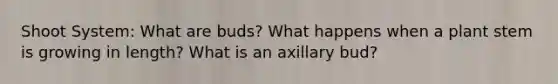 Shoot System: What are buds? What happens when a plant stem is growing in length? What is an axillary bud?