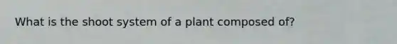 What is the shoot system of a plant composed of?