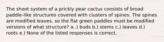 The shoot system of a prickly pear cactus consists of broad paddle-like structures covered with clusters of spines. The spines are modified leaves, so the flat green paddles must be modified versions of what structure? a..) buds b.) stems c.) leaves d.) roots e.) None of the listed responses is correct.