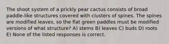 The shoot system of a prickly pear cactus consists of broad paddle-like structures covered with clusters of spines. The spines are modified leaves, so the flat green paddles must be modified versions of what structure? A) stems B) leaves C) buds D) roots E) None of the listed responses is correct.