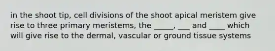 in the shoot tip, cell divisions of the shoot apical meristem give rise to three primary meristems, the _____, ___ and ____ which will give rise to the dermal, vascular or ground tissue systems