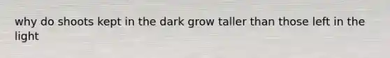 why do shoots kept in the dark grow taller than those left in the light