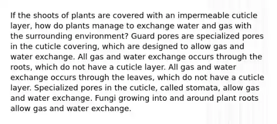 If the shoots of plants are covered with an impermeable cuticle layer, how do plants manage to exchange water and gas with the surrounding environment? Guard pores are specialized pores in the cuticle covering, which are designed to allow gas and water exchange. All gas and water exchange occurs through the roots, which do not have a cuticle layer. All gas and water exchange occurs through the leaves, which do not have a cuticle layer. Specialized pores in the cuticle, called stomata, allow gas and water exchange. Fungi growing into and around plant roots allow gas and water exchange.