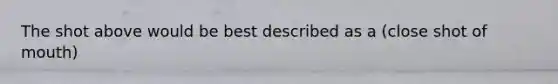 The shot above would be best described as a (close shot of mouth)