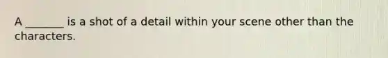 A _______ is a shot of a detail within your scene other than the characters.