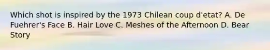 Which shot is inspired by the 1973 Chilean coup d'etat? A. De Fuehrer's Face B. Hair Love C. Meshes of the Afternoon D. Bear Story