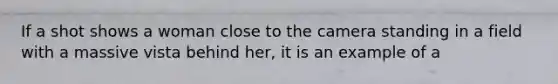 If a shot shows a woman close to the camera standing in a field with a massive vista behind her, it is an example of a