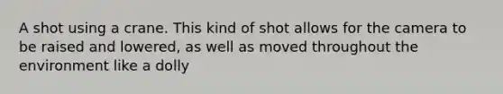 A shot using a crane. This kind of shot allows for the camera to be raised and lowered, as well as moved throughout the environment like a dolly