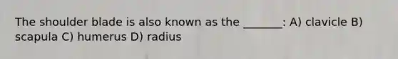 The shoulder blade is also known as the _______: A) clavicle B) scapula C) humerus D) radius