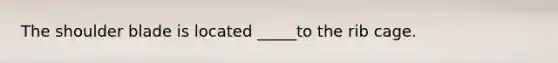 The shoulder blade is located _____to the rib cage.