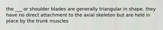 the ___ or shoulder blades are generally triangular in shape. they have no direct attachment to the axial skeleton but are held in place by the trunk muscles