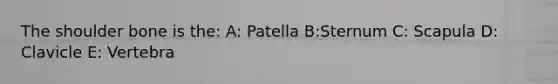 The shoulder bone is the: A: Patella B:Sternum C: Scapula D: Clavicle E: Vertebra