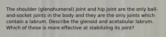 The shoulder (glenohumeral) joint and hip joint are the only ball-and-socket joints in the body and they are the only joints which contain a labrum. Describe the glenoid and acetabular labrum. Which of these is more effective at stabilizing its joint?