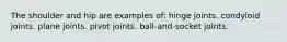 The shoulder and hip are examples of: hinge joints. condyloid joints. plane joints. pivot joints. ball-and-socket joints.