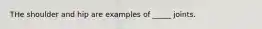 THe shoulder and hip are examples of _____ joints.