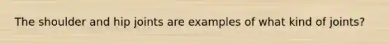 The shoulder and hip joints are examples of what kind of joints?
