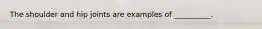 The shoulder and hip joints are examples of __________.