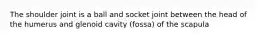 The shoulder joint is a ball and socket joint between the head of the humerus and glenoid cavity (fossa) of the scapula