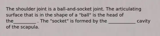 The shoulder joint is a ball-and-socket joint. The articulating surface that is in the shape of a "ball" is the head of the__________ . The "socket" is formed by the ____________ cavity of the scapula.