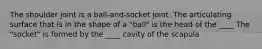 The shoulder joint is a ball-and-socket joint. The articulating surface that is in the shape of a "ball" is the head of the ____ The "socket" is formed by the ____ cavity of the scapula