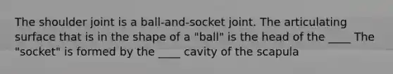 The shoulder joint is a ball-and-socket joint. The articulating surface that is in the shape of a "ball" is the head of the ____ The "socket" is formed by the ____ cavity of the scapula