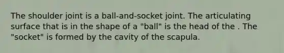 The shoulder joint is a ball-and-socket joint. The articulating surface that is in the shape of a "ball" is the head of the . The "socket" is formed by the cavity of the scapula.