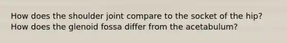 How does the shoulder joint compare to the socket of the hip? How does the glenoid fossa differ from the acetabulum?