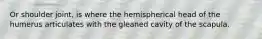 Or shoulder joint, is where the hemispherical head of the humerus articulates with the gleaned cavity of the scapula.