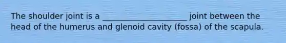 The shoulder joint is a _____________________ joint between the head of the humerus and glenoid cavity (fossa) of the scapula.