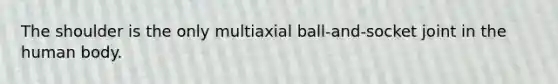 The shoulder is the only multiaxial ball-and-socket joint in the human body.