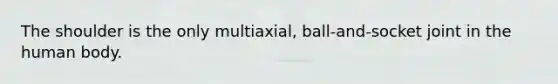 The shoulder is the only multiaxial, ball-and-socket joint in the human body.