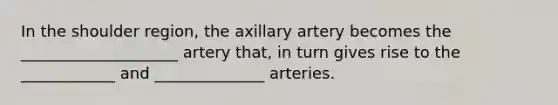 In the shoulder region, the axillary artery becomes the ____________________ artery that, in turn gives rise to the ____________ and ______________ arteries.