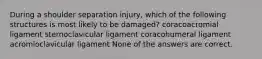 During a shoulder separation injury, which of the following structures is most likely to be damaged? coracoacromial ligament sternoclavicular ligament coracohumeral ligament acromioclavicular ligament None of the answers are correct.