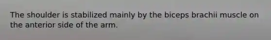 The shoulder is stabilized mainly by the biceps brachii muscle on the anterior side of the arm.