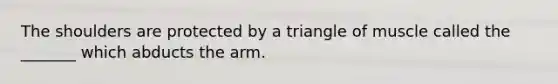 The shoulders are protected by a triangle of muscle called the _______ which abducts the arm.