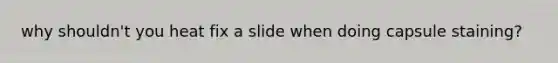 why shouldn't you heat fix a slide when doing capsule staining?