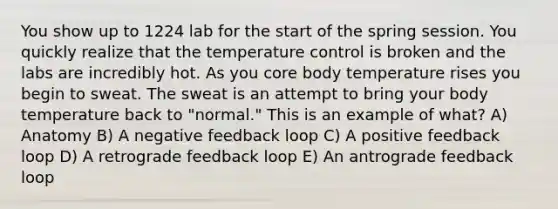 You show up to 1224 lab for the start of the spring session. You quickly realize that the temperature control is broken and the labs are incredibly hot. As you core body temperature rises you begin to sweat. The sweat is an attempt to bring your body temperature back to "normal." This is an example of what? A) Anatomy B) A negative feedback loop C) A positive feedback loop D) A retrograde feedback loop E) An antrograde feedback loop