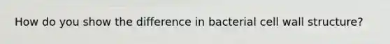 How do you show the difference in bacterial cell wall structure?